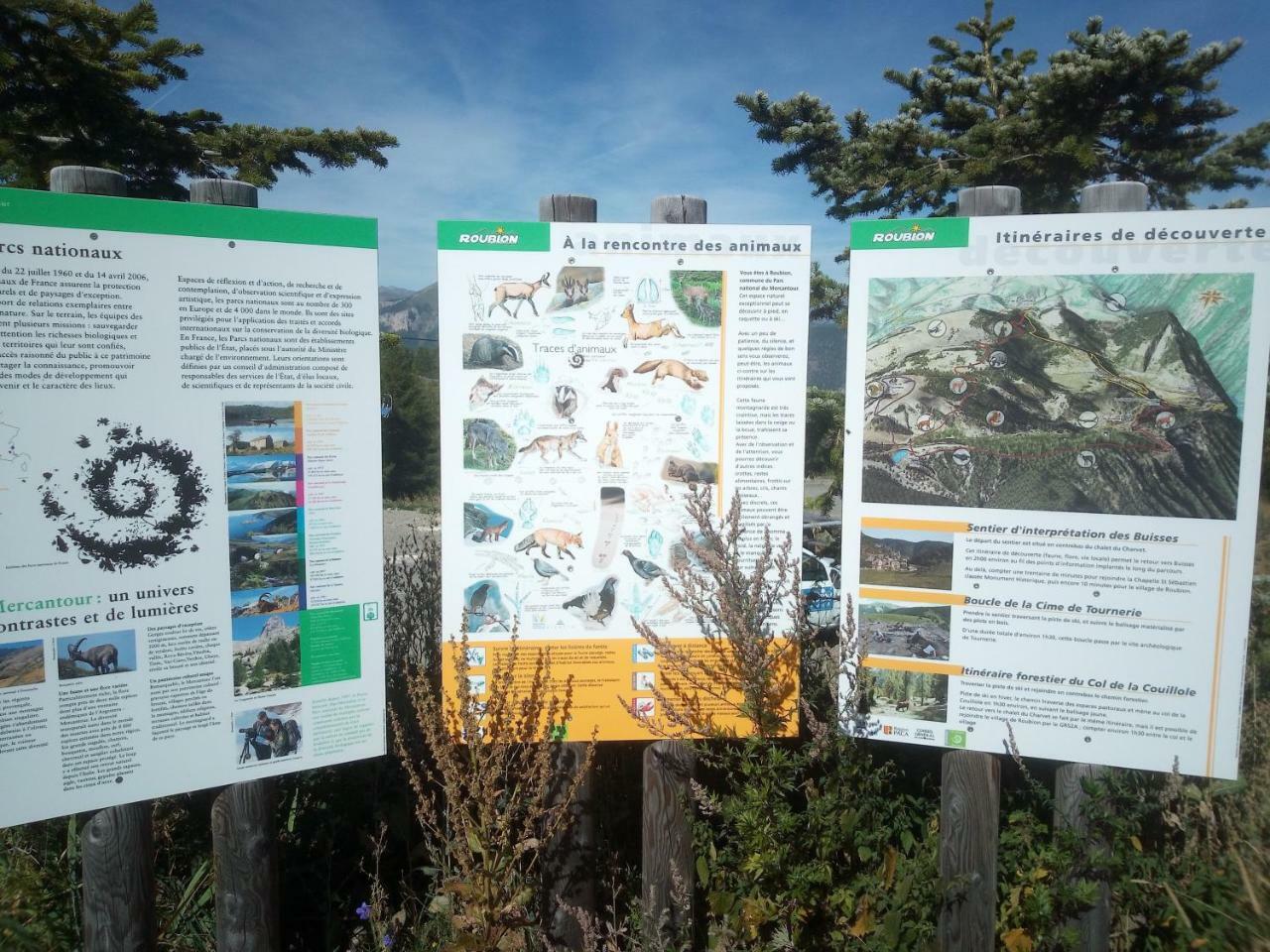 Le Chalet Des Buisses Roubion Bagian luar foto